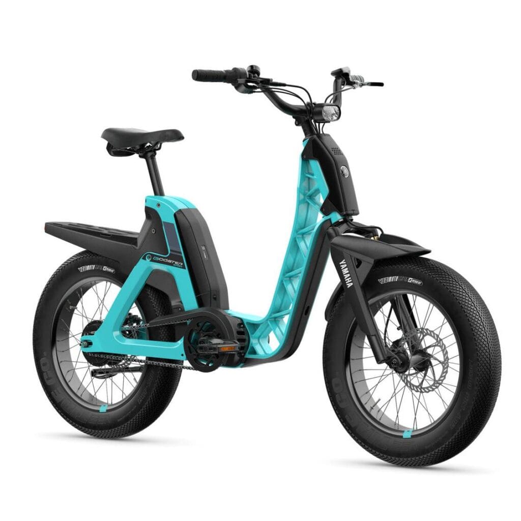 electric-fat-bike-1