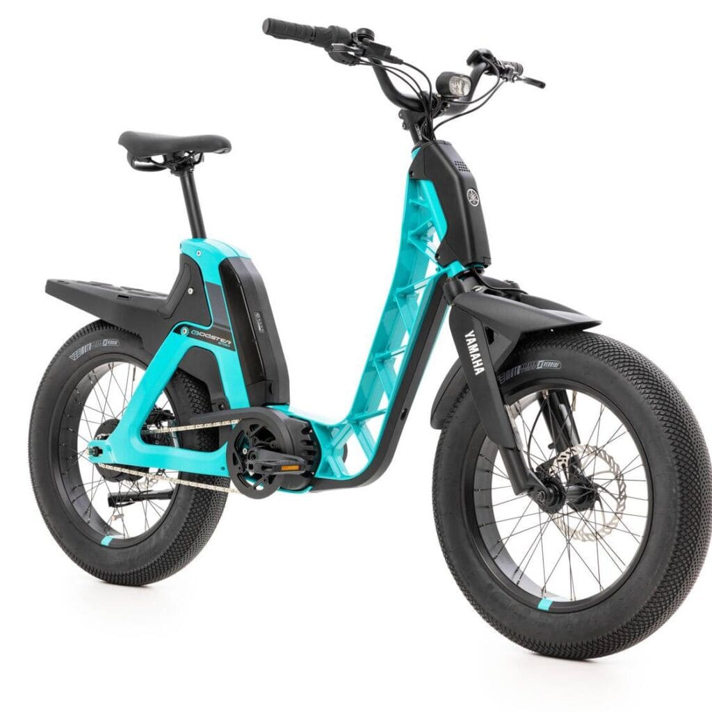 electric-fat-bike-2